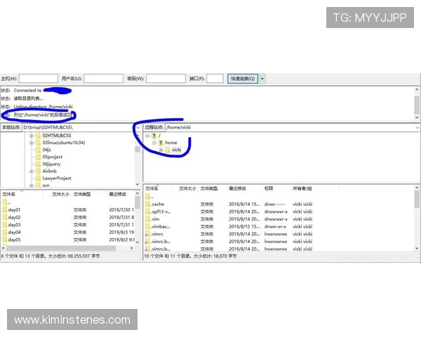 全面解析k8篮球平台官网入口登录入口的详细步骤与常见问题解决方案